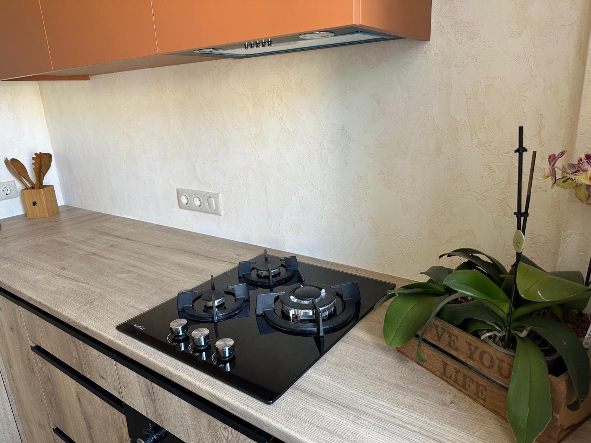 Appartement Terracotta à Krementchouk Extérieur photo
